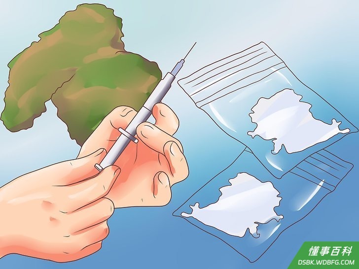 Step 6 了解过度吸食“烈性”毒品的危险。