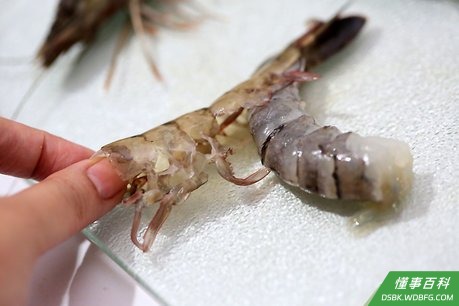 Step 1 虾去皮，抽去背部的黑色虾线。