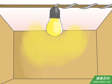Step 3 将雏鸡带回家之前要装好孵蛋器。