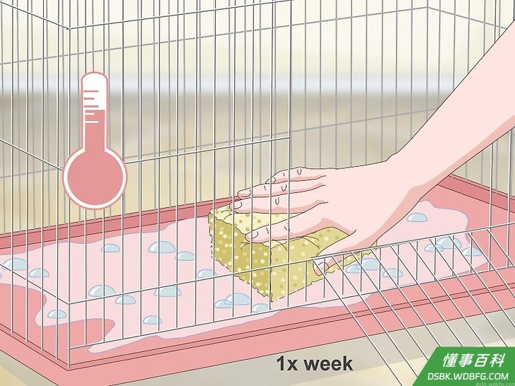 Step 1 每周打扫一次笼子。