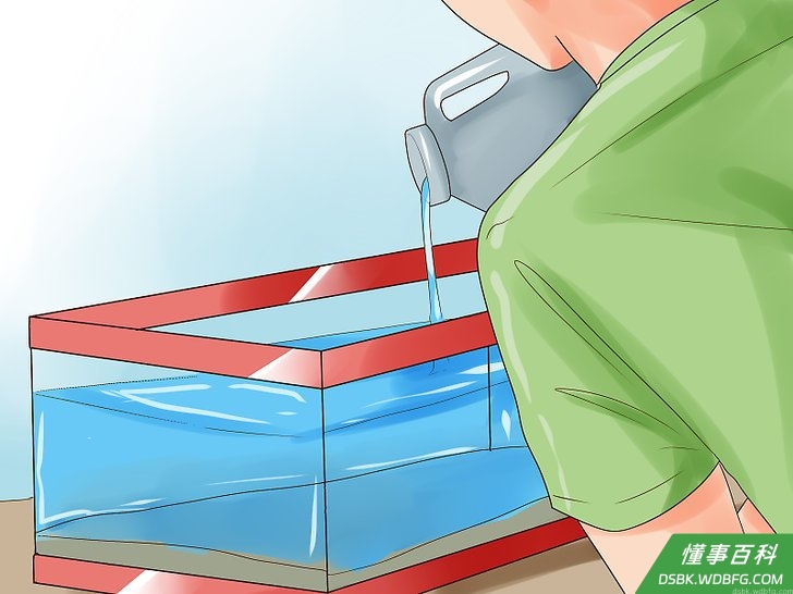 Step 1 准备一个单独的鱼缸。