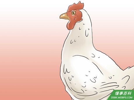 Step 1 可以考虑买母鸡。