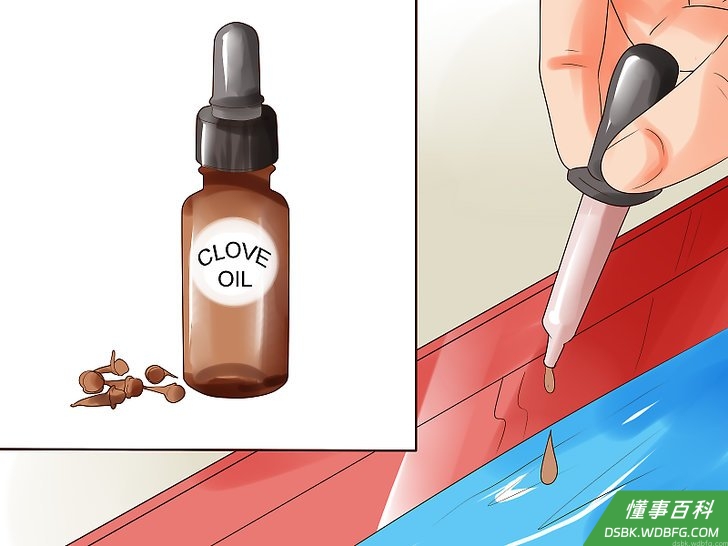 Step 4 谨慎使用丁香油。