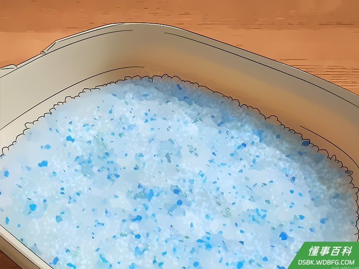 Step 1 试一试水晶猫砂。