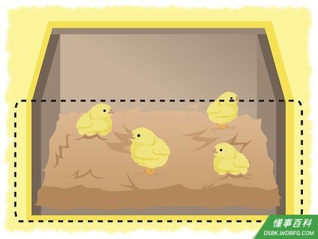 Step 2 使用正确的地板。
