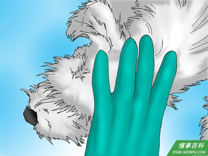 Step 1 看兽医。