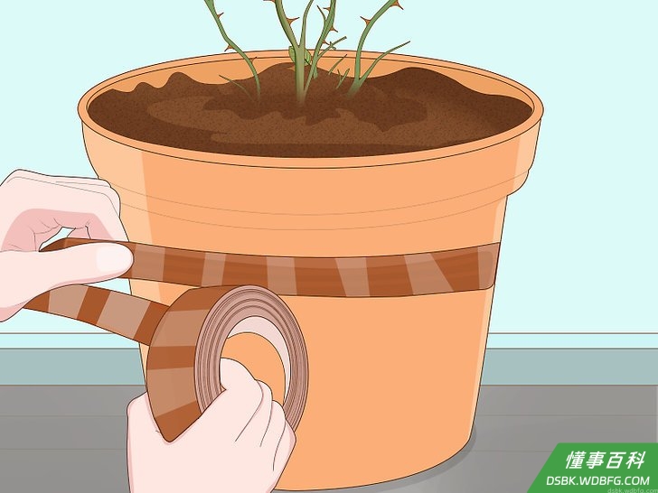 Step 5 用铜线或铜带阻止蜗牛在附近活动。