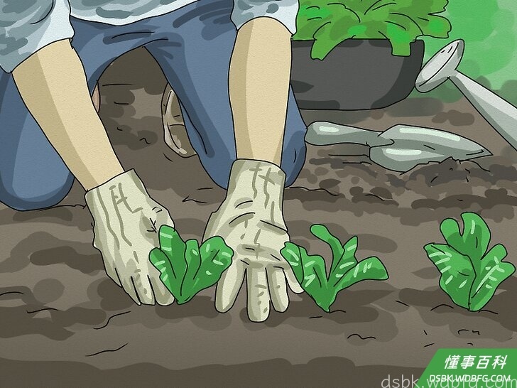 Step 4 让你的环境可持续。