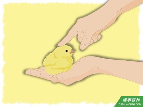 Step 5 与他们一起玩。