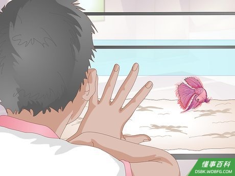 Step 1 和斗鱼开心地相处。