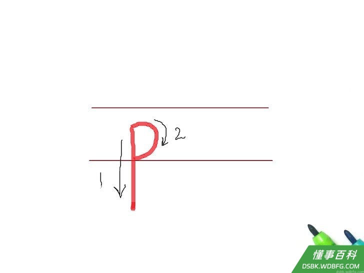 Step 16 字母p：与大写P相同，但在书写行里需写在较低的位置。