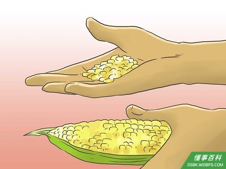 Step 5 给鸡喂不同的食物,这样它们产下的蛋黄会变得更深。