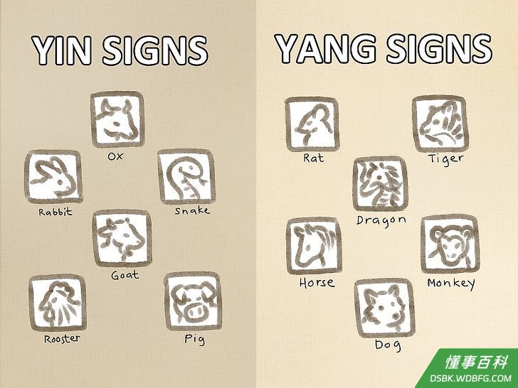 步骤9