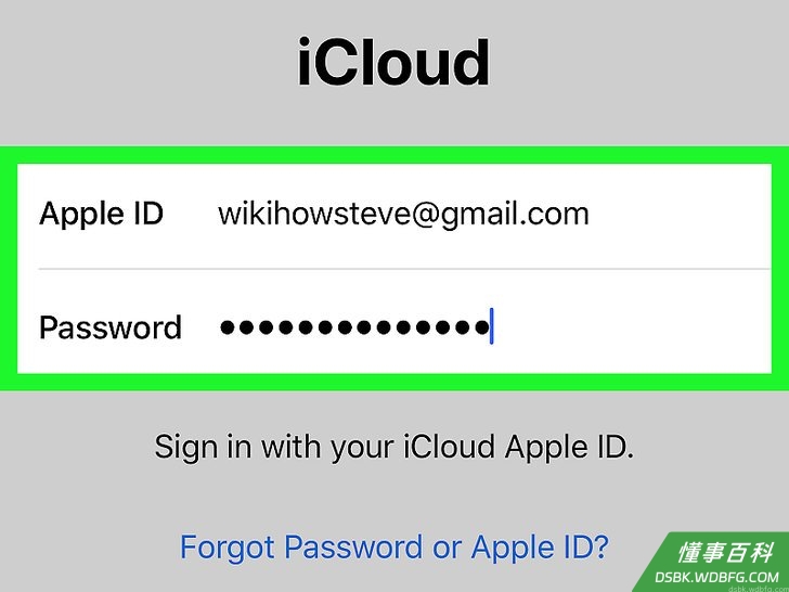 Step 11 输入Apple ID的邮箱地址和密码。