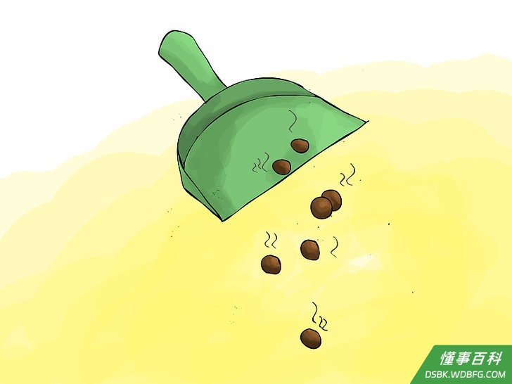 Step 2 不要接触啮齿动物的粪便。