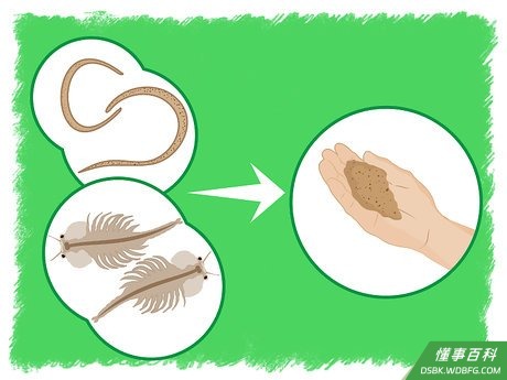 Step 1 给鱼苗戒除掉活食。