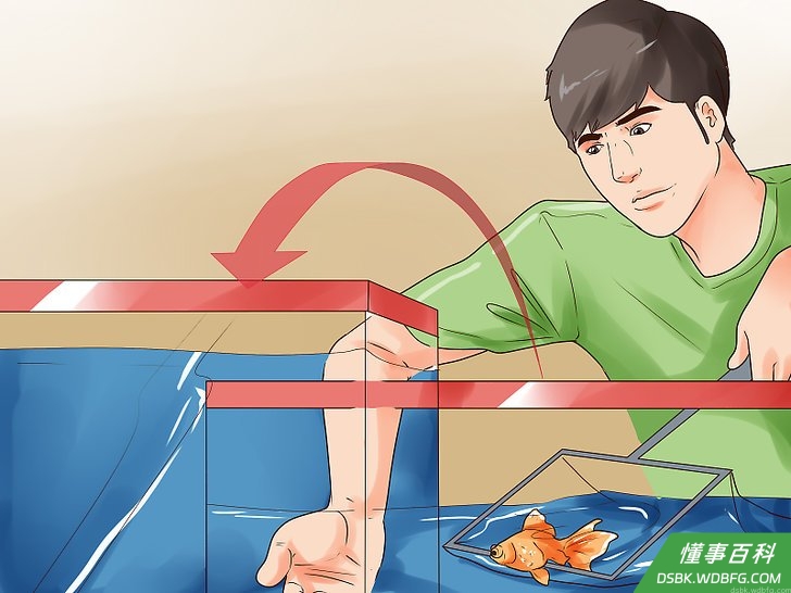 Step 5 给鱼换鱼缸。