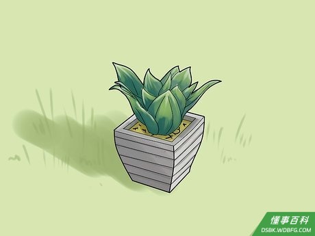 Step 3 谨慎选择饲料,禁止喂食观赏性植物,尤其是杜鹃花属植物。
