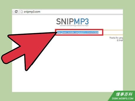 Step 3 粘贴视频URL至网站转化区域,点击“转换视频”。