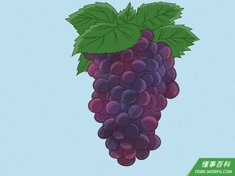 Step 2 挑选水果。