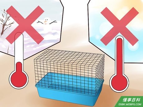 Step 1 避免笼子受冷或者受热。