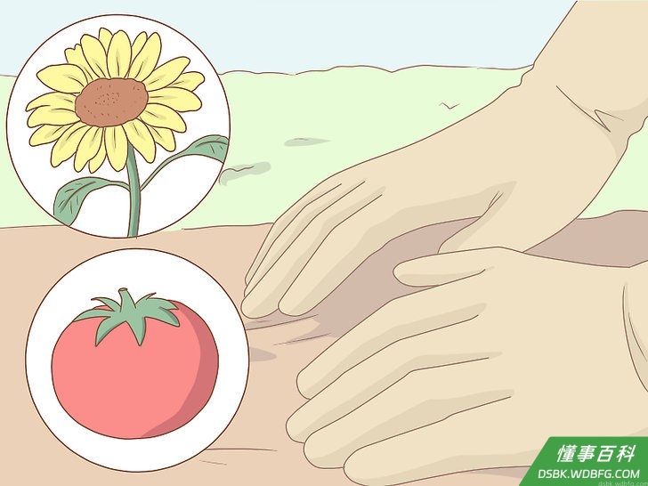 Step 1 多种点树。