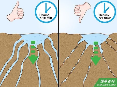 Step 4 选择排水性好的土地。