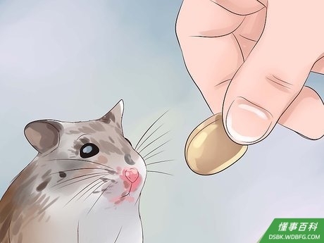 Step 2 偶尔喂点零食。