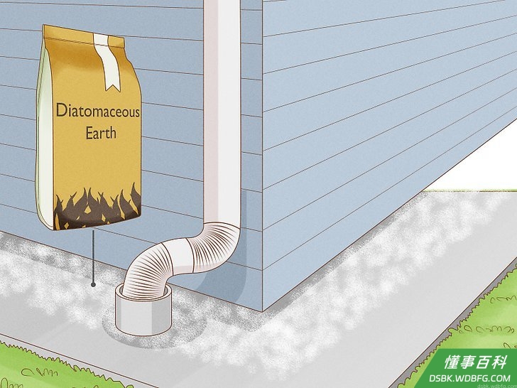 Step 8 在屋子周围撒硅藻土。