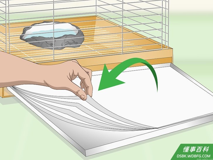 Step 5 考虑在鸟笼底部加层垫子。