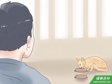 Step 5 尝试总量控制与自由喂养相结合的模式。