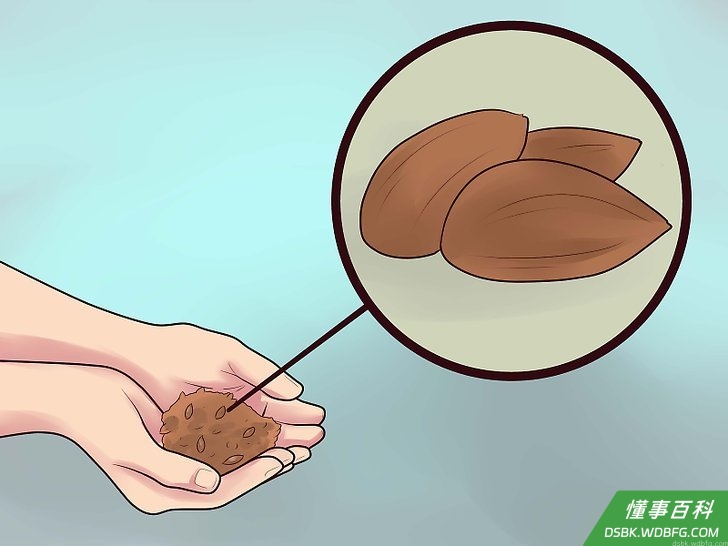 Step 2 吃坚果类和籽类。