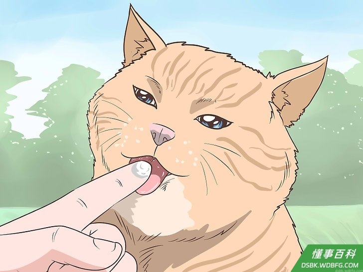 Step 5 用凡士林护理宠物。