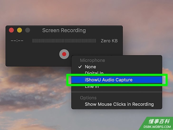 Step 12 选择“IShowU音频捕获”。