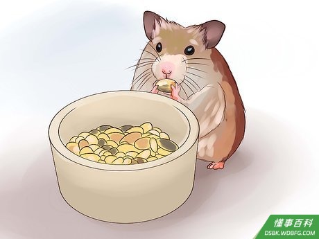 Step 1 提供健康饮食。