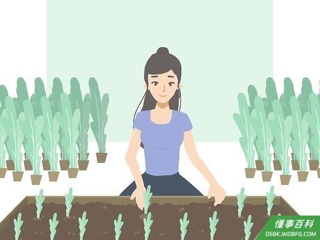 Step 5 筹划一个长期项目。