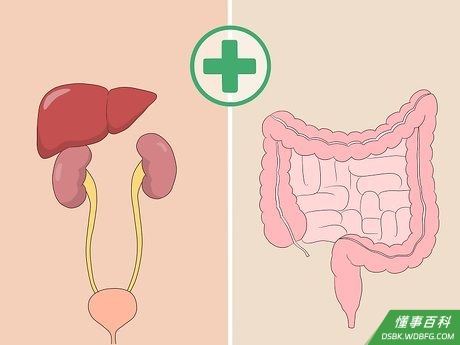 Step 1 保持肠胃健康有助于身体吸收维生素。
