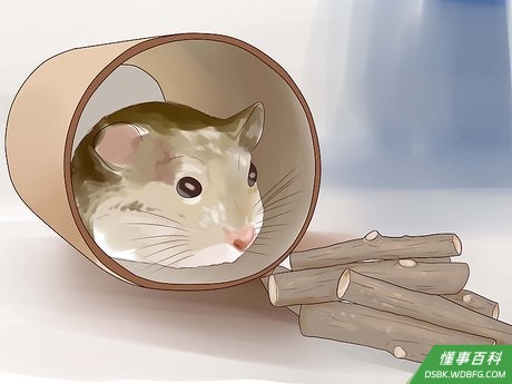 Step 2 提供玩具。