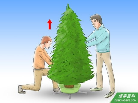 Step 3 确保树是直立的。