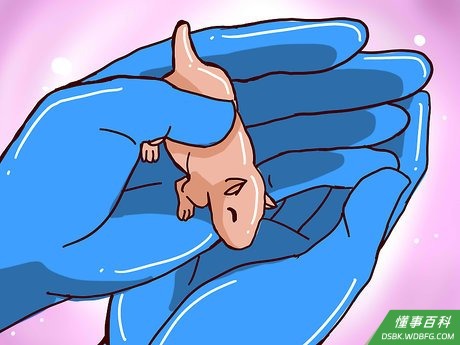 Step 6 防止松鼠宝宝脱水。