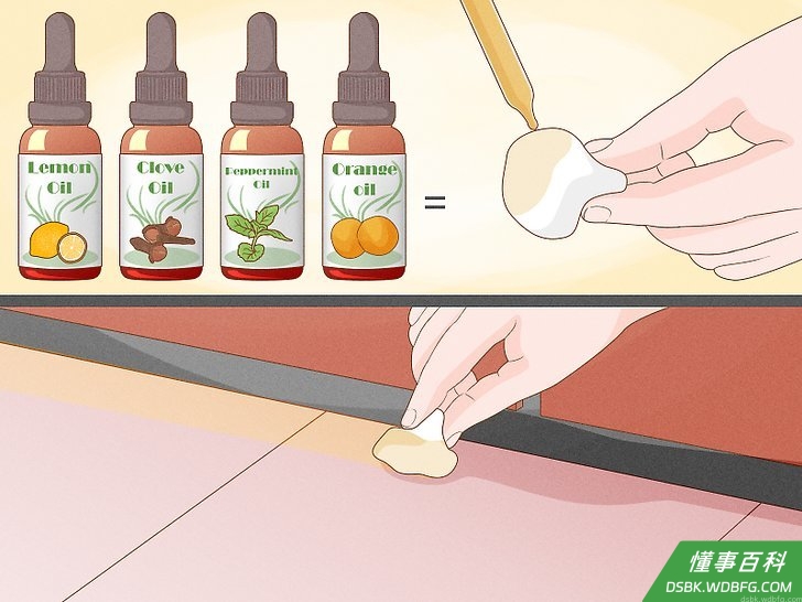 Step 6 尝试精油驱虫。