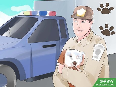 Step 3 你还可以向动物保护组织投诉虐待动物的行为。