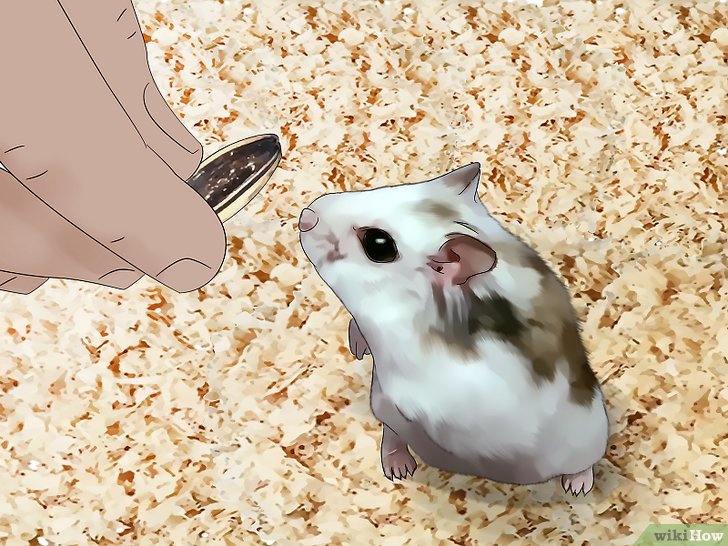步骤1