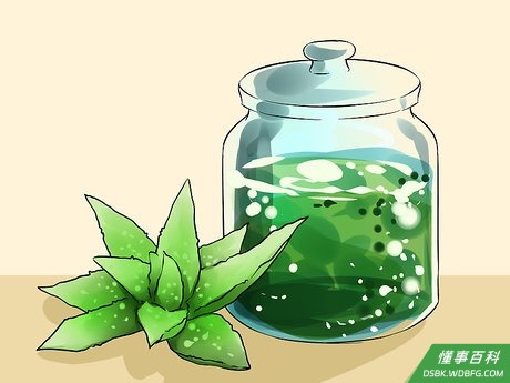 Step 4 使用芦荟。