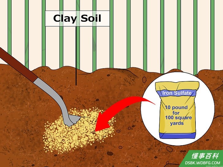 Step 4 将硫酸铁添加到非常紧实或含有大量粘土的土壤里。