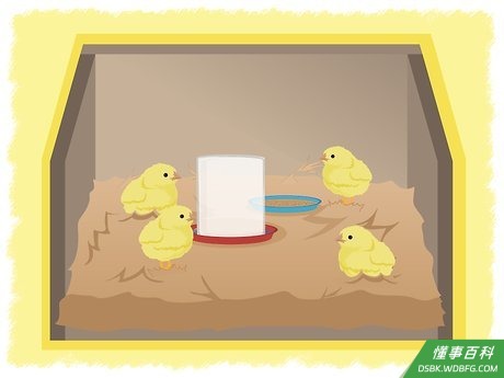 Step 4 确保他们有食物和水。