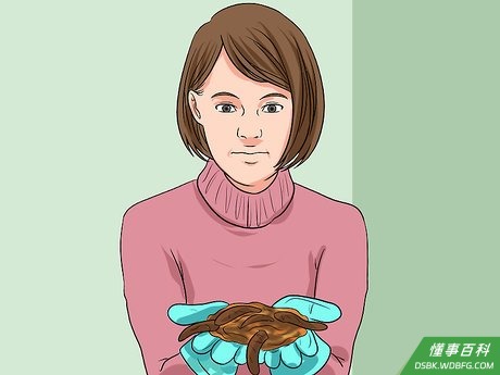 Step 1 确定这种方法是否适合你的蚯蚓。