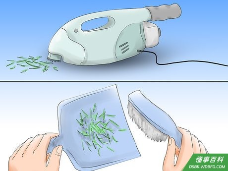 Step 3 及时清除脱落的松针。