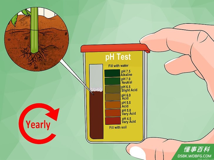 Step 4 至少每年密切监测土壤酸碱值。
