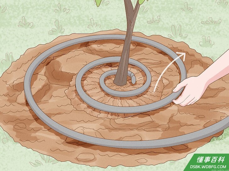 Step 3 随着树木长大减少照料。